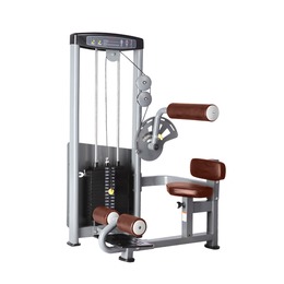 Пресс-машина Bronze Gym D-010