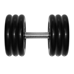 Гантель Barbell 31 кг профи