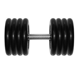 Гантель Barbell 41 кг профи