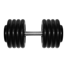 Гантель Barbell 43,5 кг профи