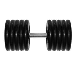 Гантель Barbell 48,5 кг профи