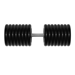 Гантель Barbell 81 кг профи
