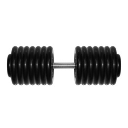 Гантель Barbell 76 кг профи