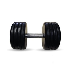 Гантель Barbell 49 кг классик с вращающейся ручкой хром