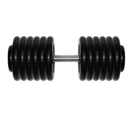 Гантель Barbell 66 кг профи