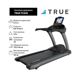Беговая дорожка TRUE TC900 c консолью Envision16