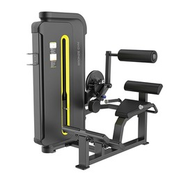BRONZE GYM BW-3031 Разгибание спины