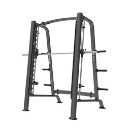BRONZE GYM PL-1721 Машина Смита