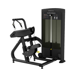 BRONZE GYM BLANC 28
