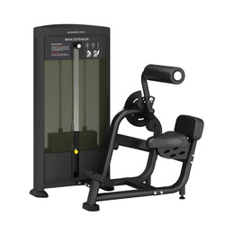 BRONZE GYM BLANC 31