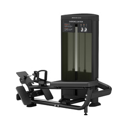 BRONZE GYM BLANC 33
