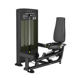 BRONZE GYM BLANC 93