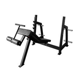 BRONZE GYM AL-306 Скамья для жима под углом вниз