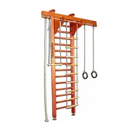 Домашний спортивный комплекс Wooden Ladder Ceiling