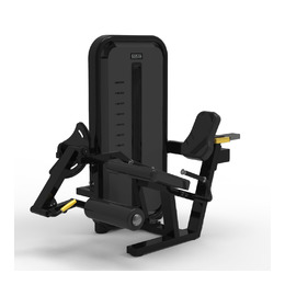 BRONZE GYM MIGHT 02