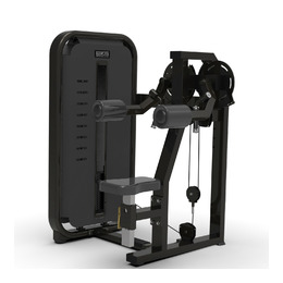 BRONZE GYM MIGHT 05