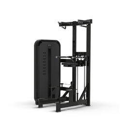 BRONZE GYM MIGHT 09