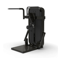 BRONZE GYM MIGHT 10