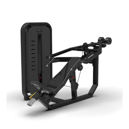 BRONZE GYM MIGHT 11
