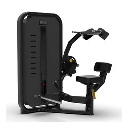 BRONZE GYM MIGHT 15