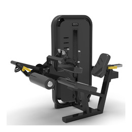 BRONZE GYM MIGHT 18