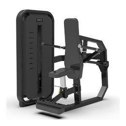 BRONZE GYM MIGHT 20