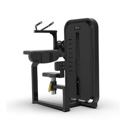 BRONZE GYM MIGHT 21