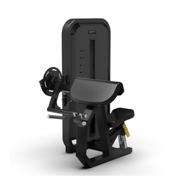 BRONZE GYM MIGHT 22