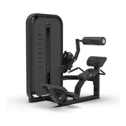 BRONZE GYM MIGHT 23