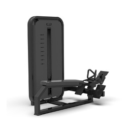 BRONZE GYM MIGHT 24