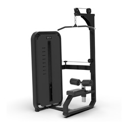 BRONZE GYM MIGHT 26