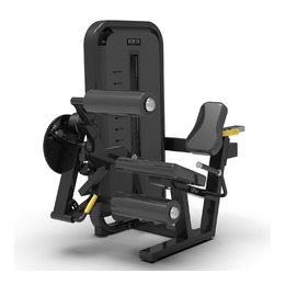 BRONZE GYM MIGHT 54