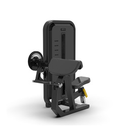 BRONZE GYM MIGHT 57