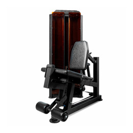 BRONZE GYM PARTNER ML-801