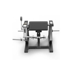Бицепс машина Spirit SP-4513