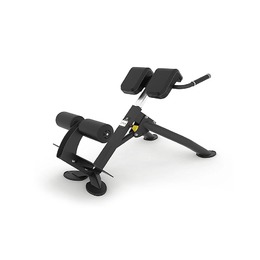Гиперэкстензия под углом 45 градусов Spirit SP-4220