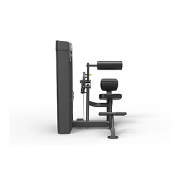 Пресс/разгибание спины SPIRIT SP-4609