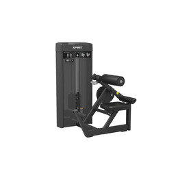 Разгибание спины Spirit SP-4310