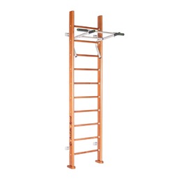 Детский спортивный комплекс Rapido PS-102