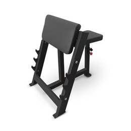 BRONZE GYM AL-303 Скамья Скотта