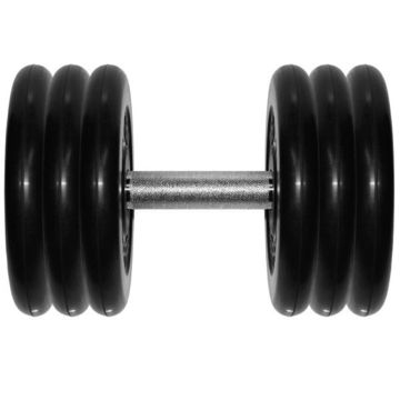 Гантель Barbell 31 кг профи