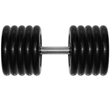 Гантель Barbell 48,5 кг профи