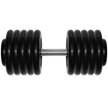 Гантель Barbell 46кг профи