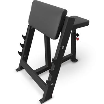 BRONZE GYM PARTNER AL-303