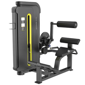 BRONZE GYM BW-3031 Разгибание спины
