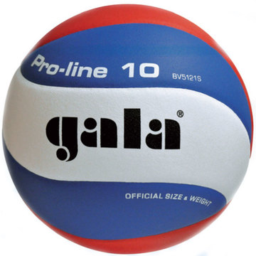 Волейбольный мяч PRO-LINE BV5591S