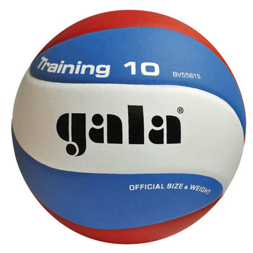 Волейбольный мяч TRANING BV5561S