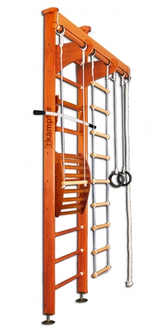 Домашний спортивный комплекс Wooden Ladder Maxi Ceiling