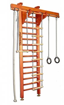 Домашний спортивный комплекс Wooden Ladder Ceiling