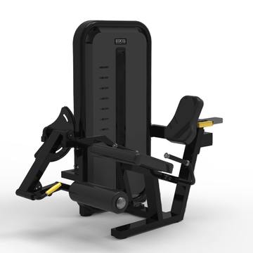BRONZE GYM MIGHT 02